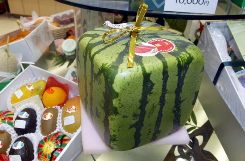 8 melon