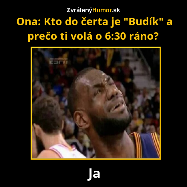 82.budík