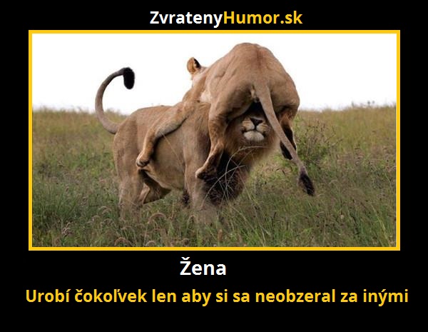 zeny