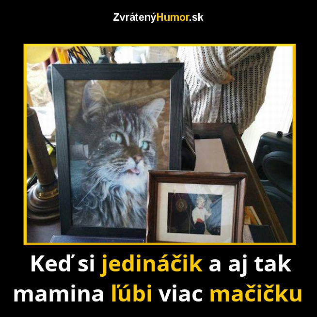 96.mačička