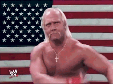 Hulk Hogan1