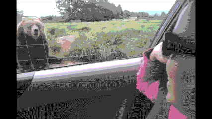 ahojahoj