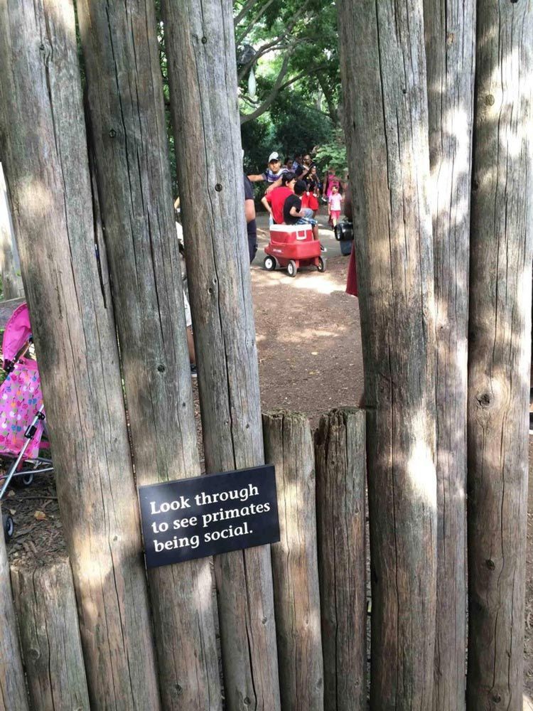 vylet do zoo 18