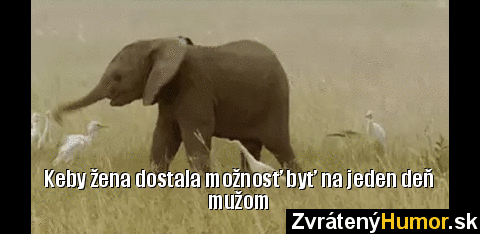 ezgif.com-gif-maker