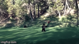golfista