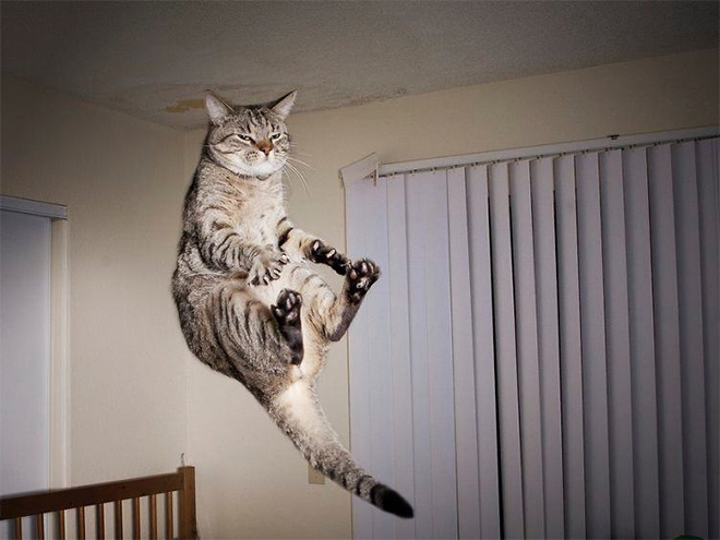 gravity1