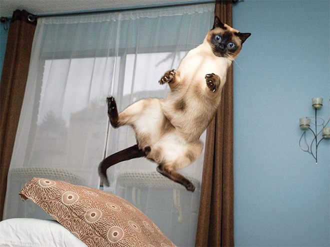 gravity10
