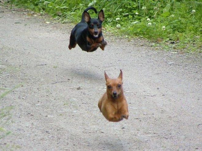 gravity11