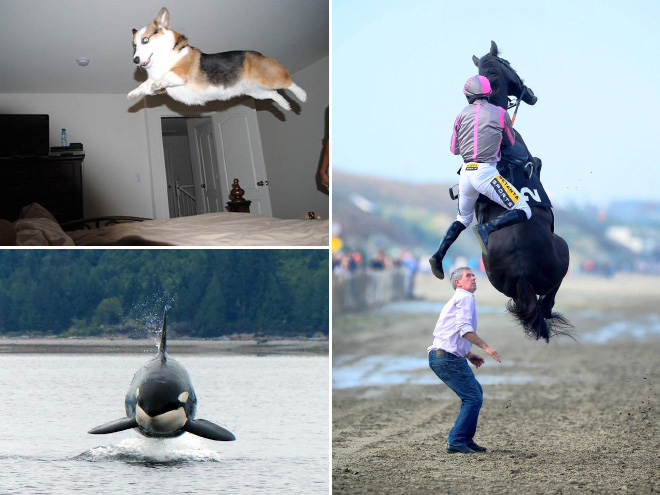 gravity17