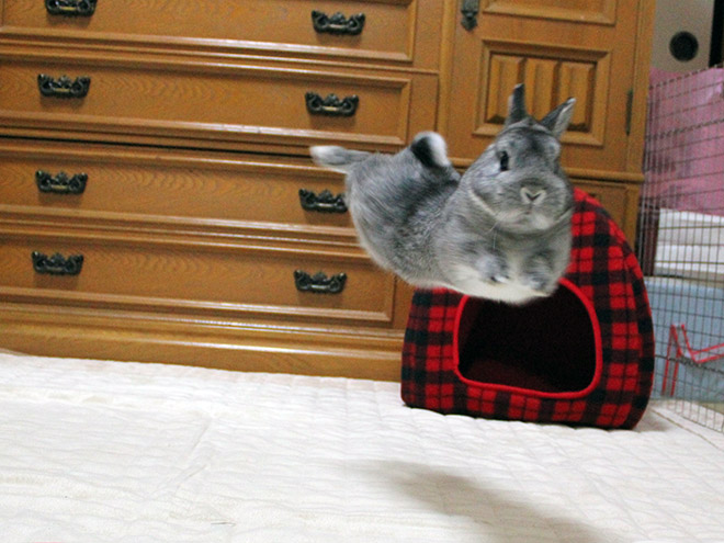 gravity2
