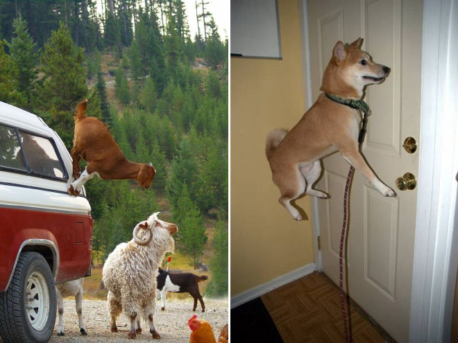 gravity5