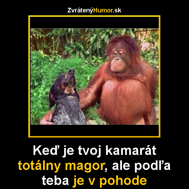 kamarat
