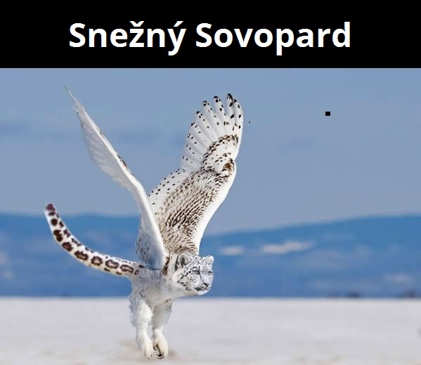 kombinacie zvierat 1