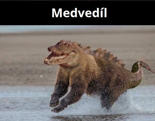 kombinacie zvierat 9