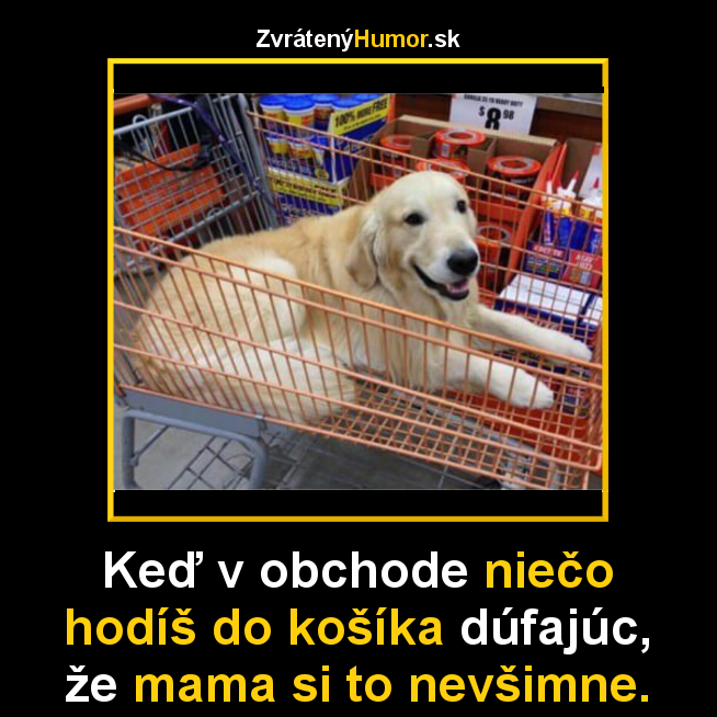 kosik
