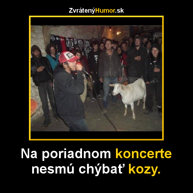 kozy
