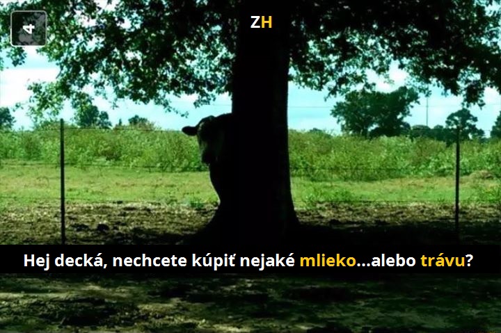 krava