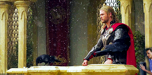 LOKI 16