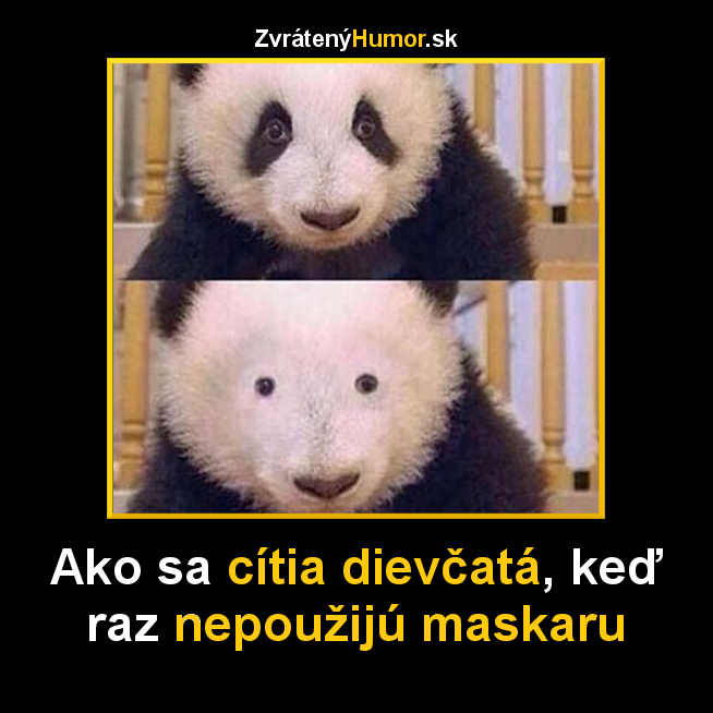 pandas