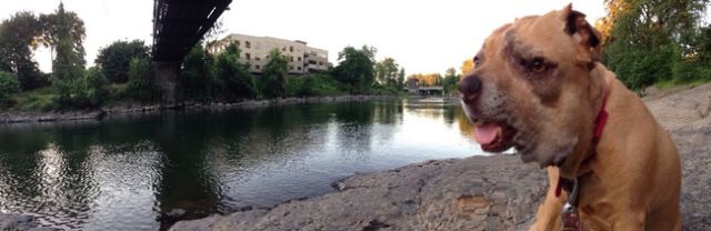panoramic2