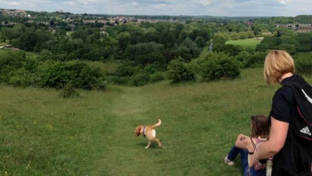panoramic21