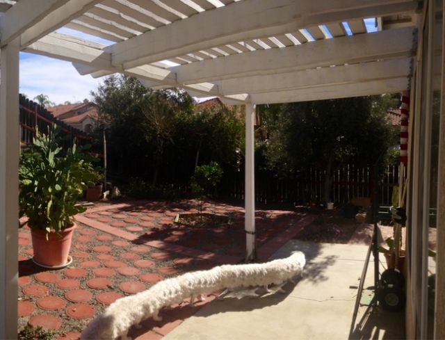 panoramic23