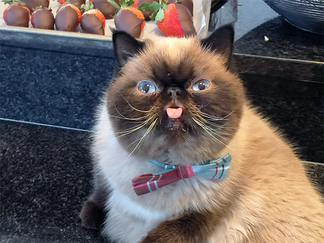 photogenic13
