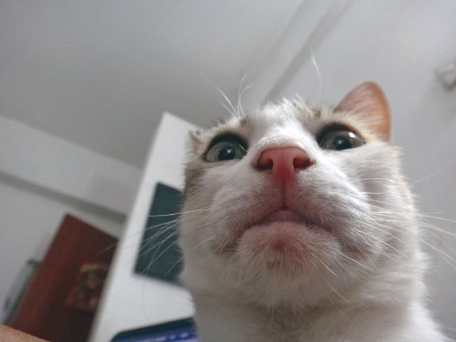 fotogenicke 4