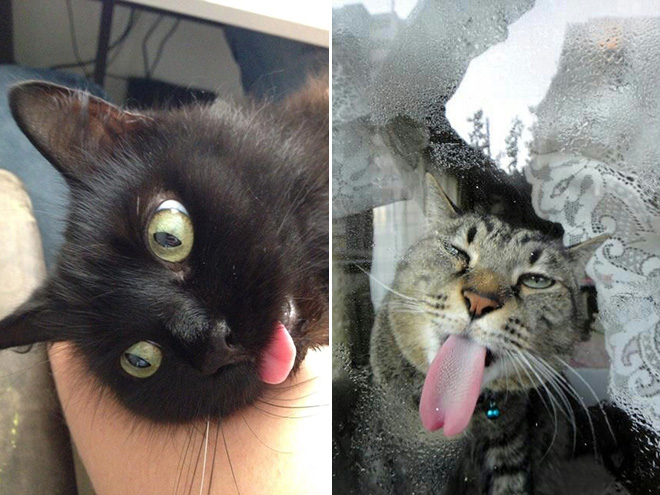 photogenic5