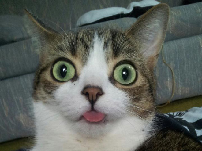 photogenic9