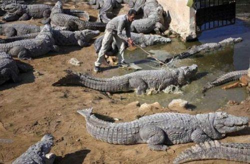 safety-fails-22