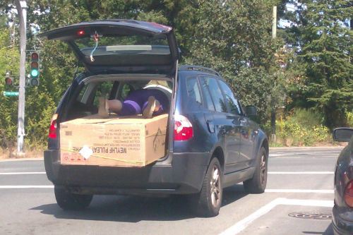safety-fails