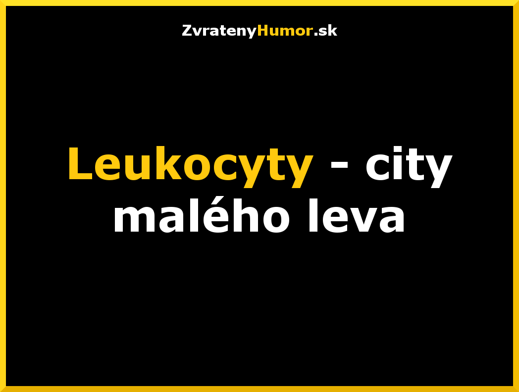 slovnik 17
