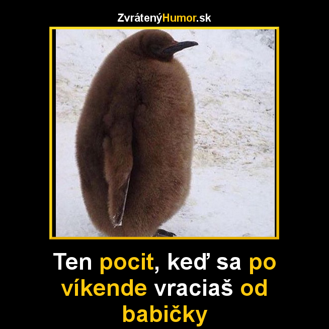 tucniak