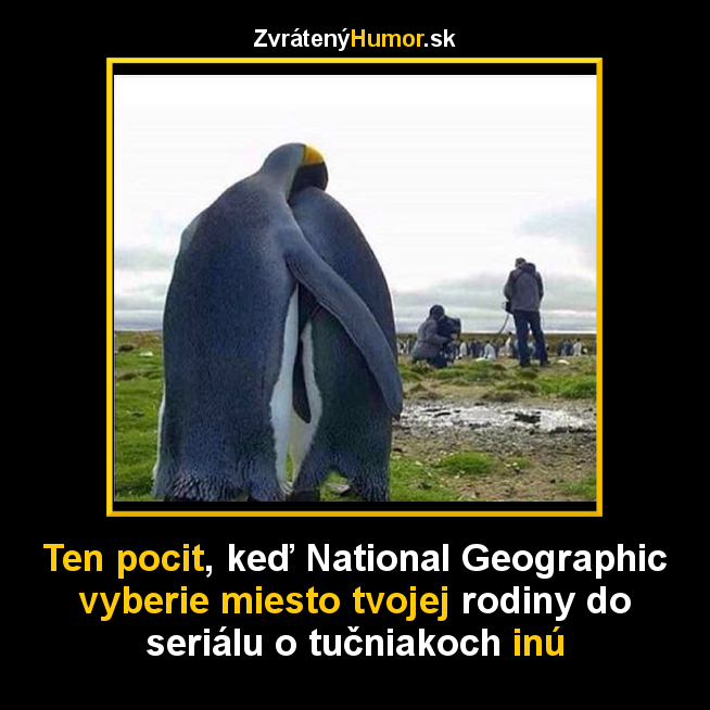 tucniaci