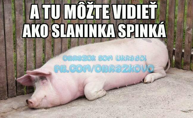 vsetko vtipne 314
