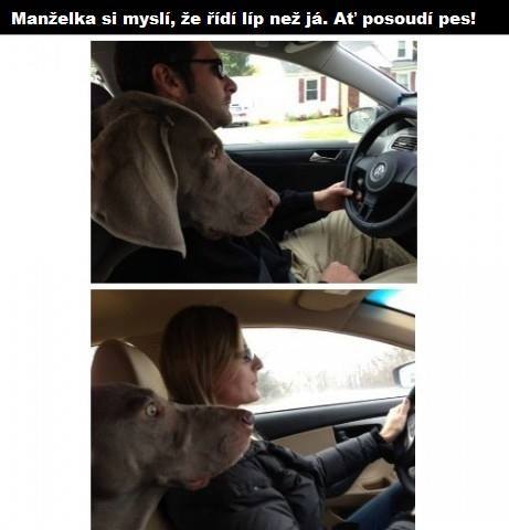 vsetko vtipne 317