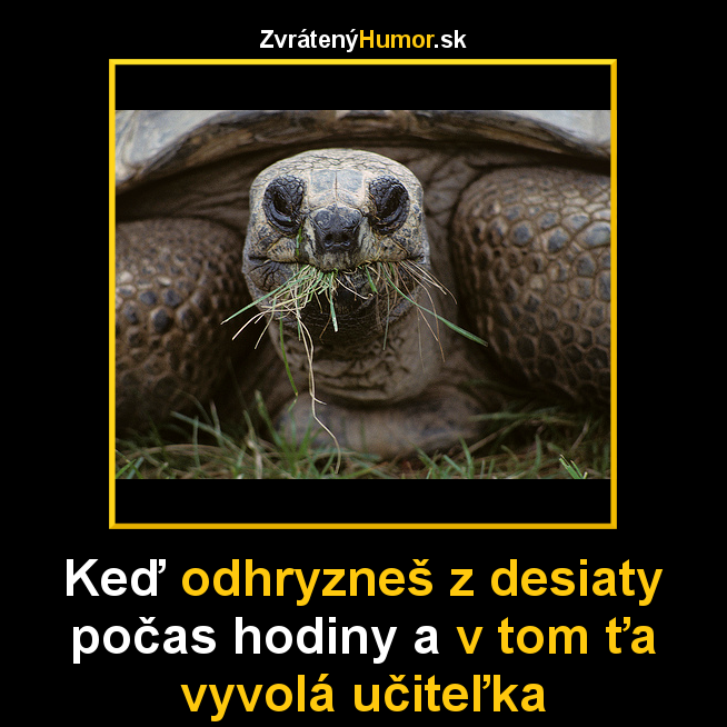 zelva