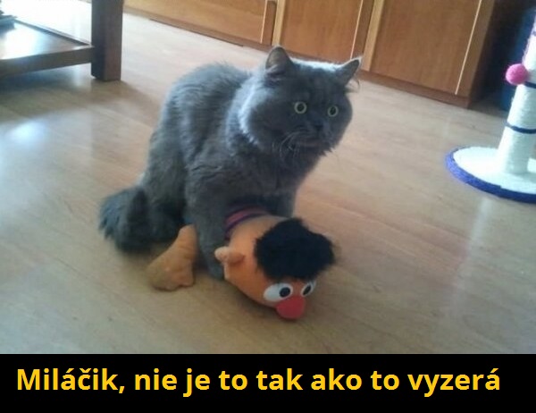 pri čine