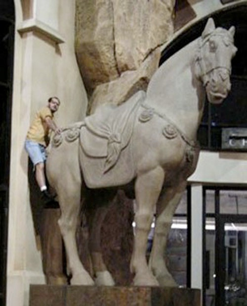 1 podme konik
