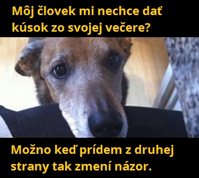 1 večera