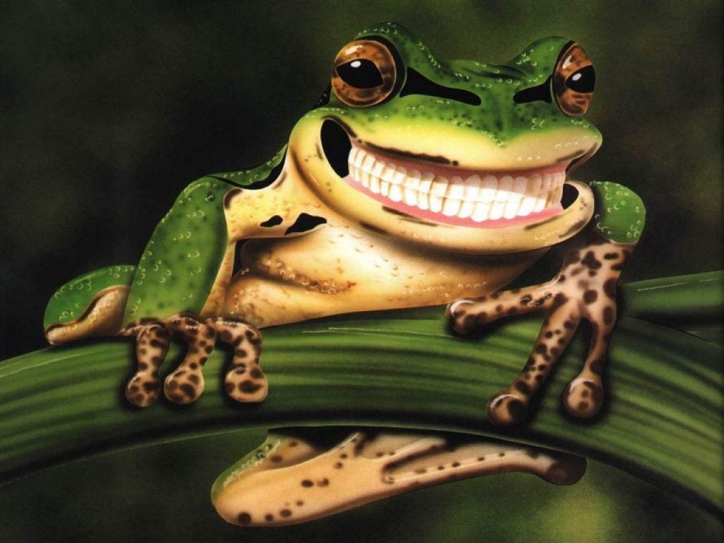 zvierata a zuby 4