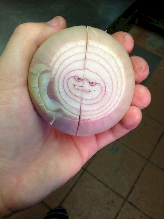 12 cibuľa