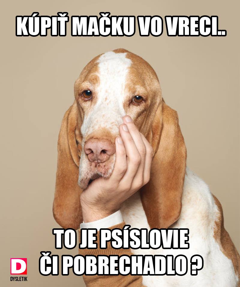dyslektik 2