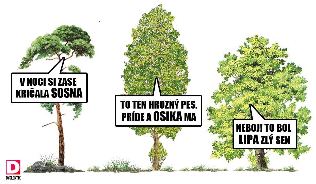 dyslektik 9