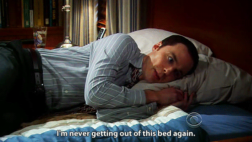 15 sheldon