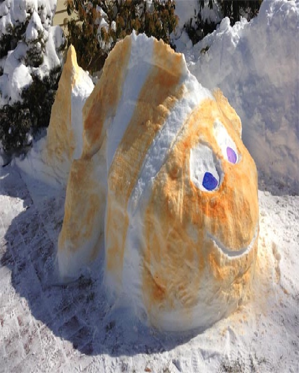 16 nemo