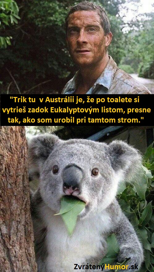 178.Bear
