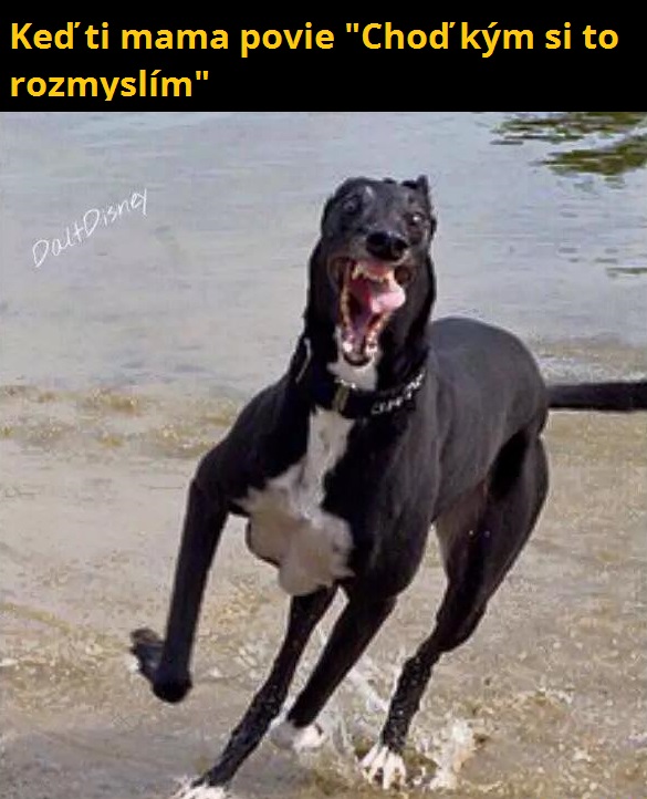 no choď