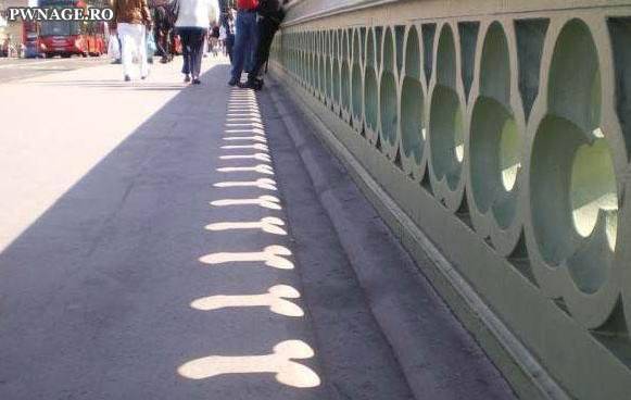 2 penis